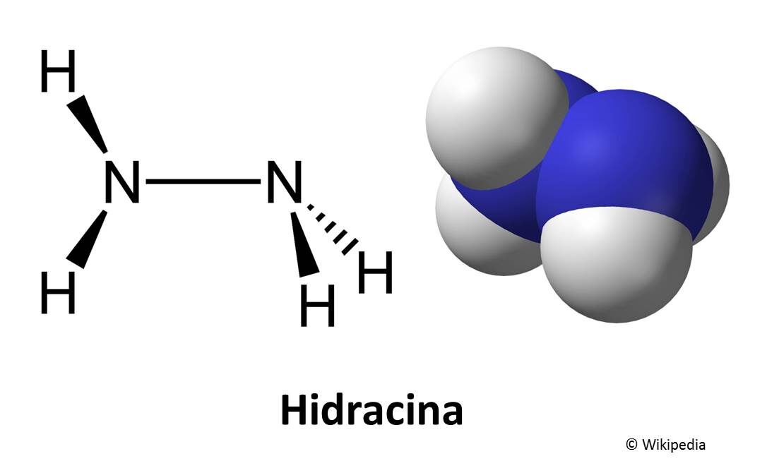 hormigas2-5808691